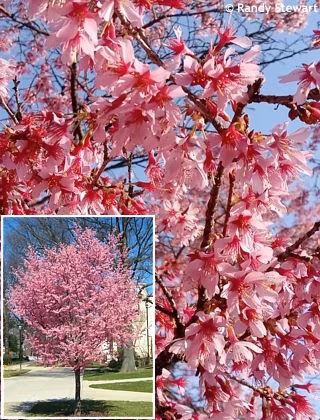 25dc1a36767e4738b4d4a103c9dce829