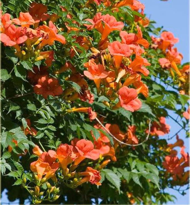 261bf64caca7bb0add0c5982cf984a7b