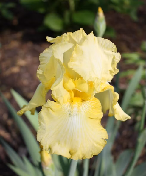 264b753b6dfd66fe7f90f84b716a0fe4