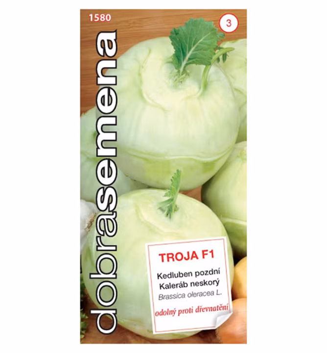 265e458e54df7c6423dedc1e472b0586