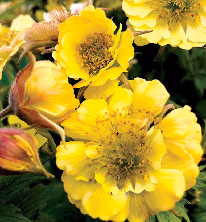 267a1aa3b36bdaa7171188904879cabd