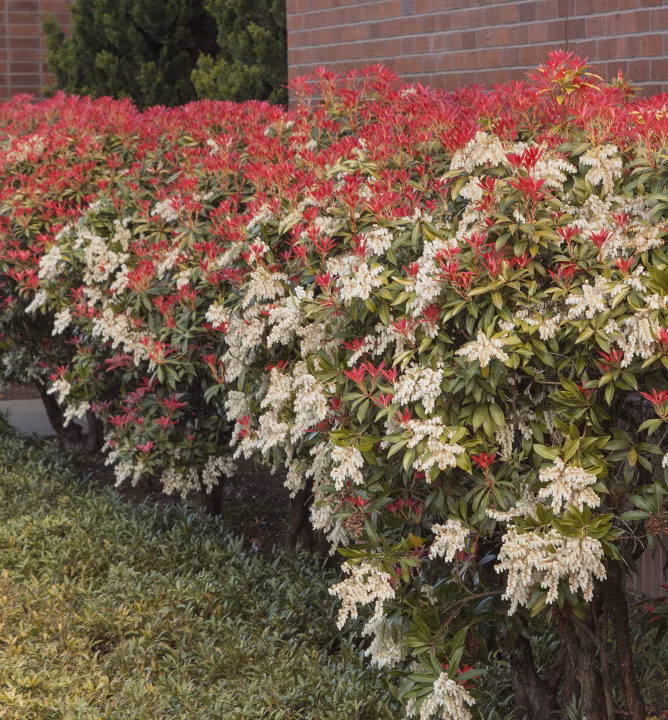 26ae98441e5a6800f1ab1fa67863a40c