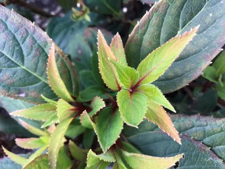 278725efdd2dbee113b910d20f8fe897