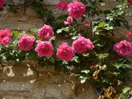 27abf94882dd4ad550c50fe45823ab65