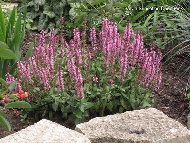 27ac42557df9c19ec6a12e0e0aca43f1