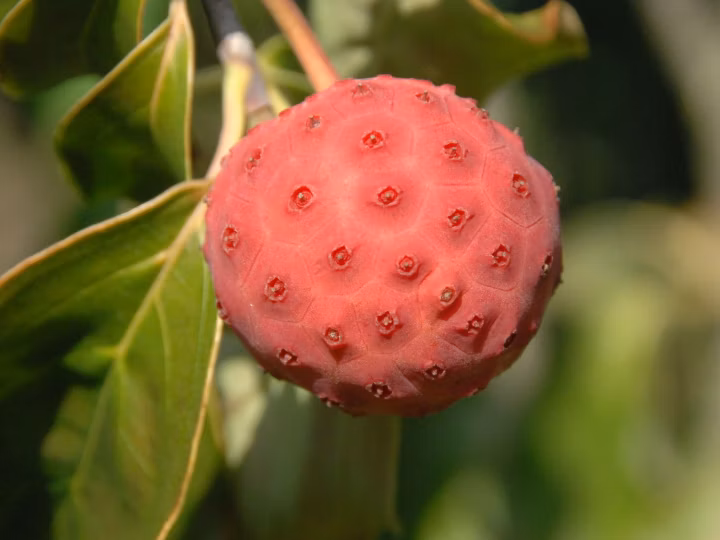 27b7bf1cf25471336c87186d4cb146bc