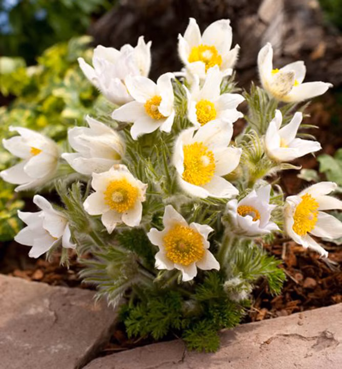 27f8d27db49728870649a283a0a663b1