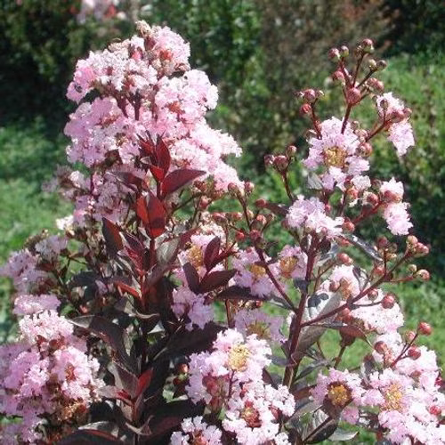 280dc33ebe1b9809d5aa95763cfcc666