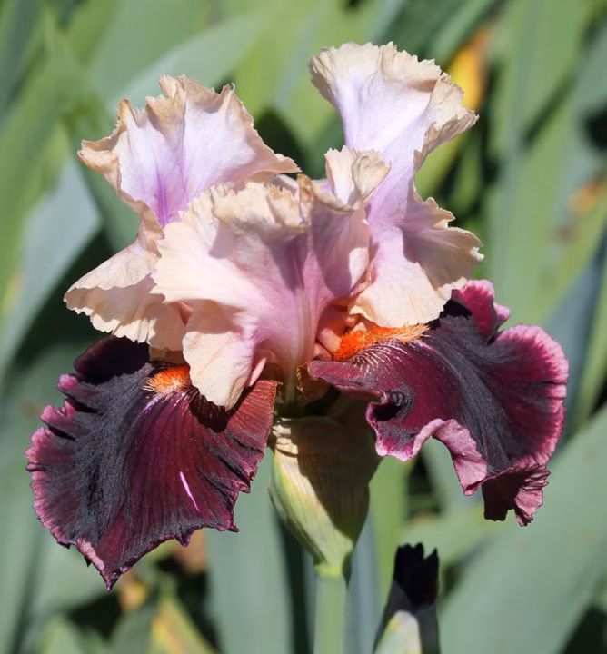 281c77971d017830cbcb214c97a4dc1f