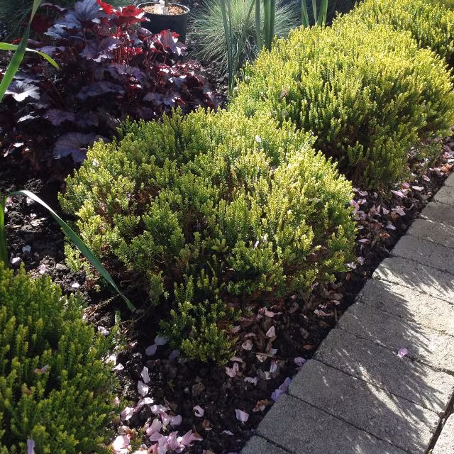 28243909875bf23592e2f711a813a4bc