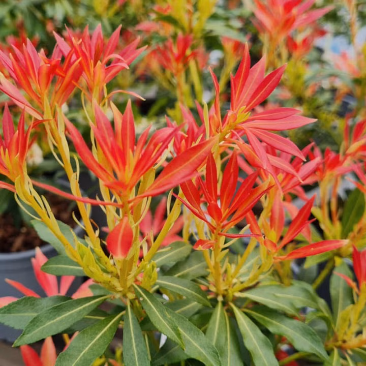 284e8faea8ea54b6e0deb46fd59d9fff