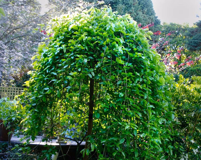 28743d5890e6e93eecbed6c330f56bd7