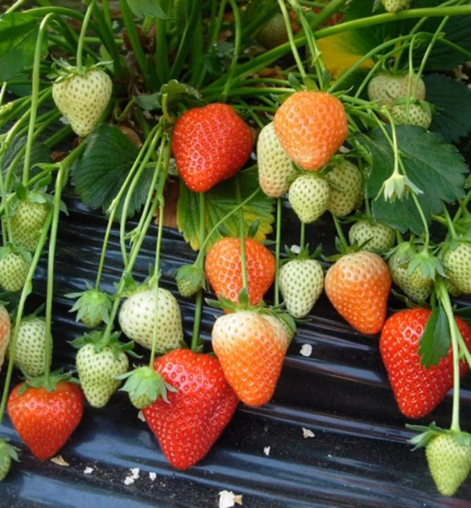 287aa2a7bf89e50eb3f1b5931979cf9d