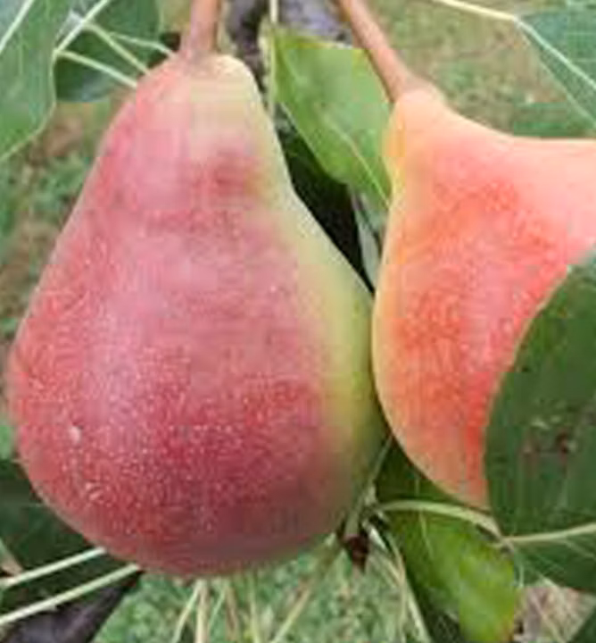 2881e9f9cf23f62774073322ab6869b1