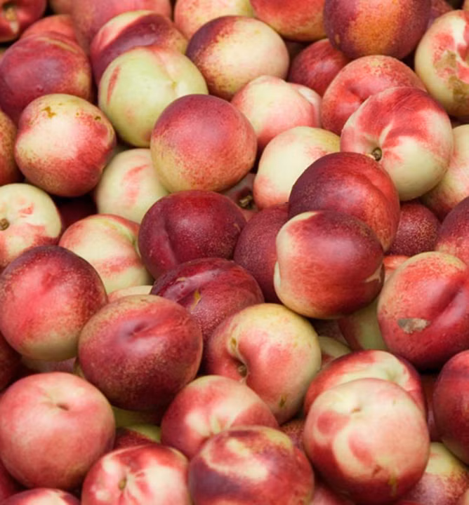 28a5fa18e289f272e034396c9d213113