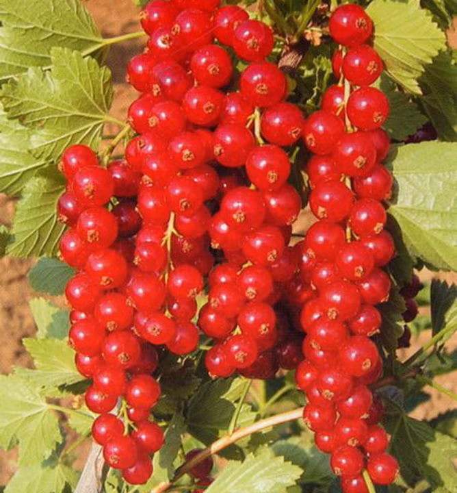 28aa73bfca050ccabf2894a9f6874506