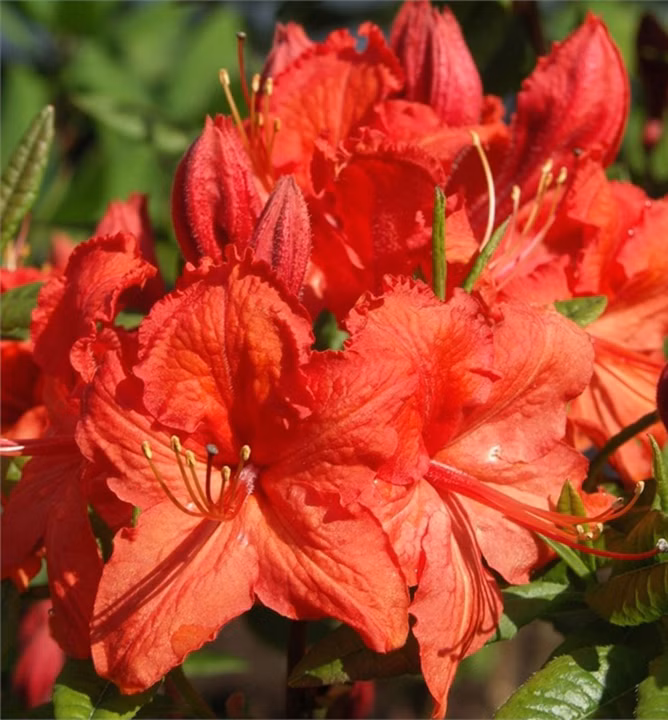 28ed7269462f5487e011e39a5a6d3225