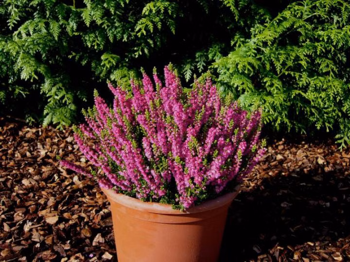 2901dc2f0d586411fecde2488b900005