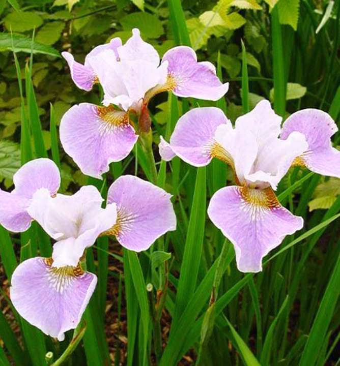 295df82944b5b1dde9bc43a9e4bfc587