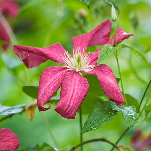 2a308a029beb7855af109ed73d474a02