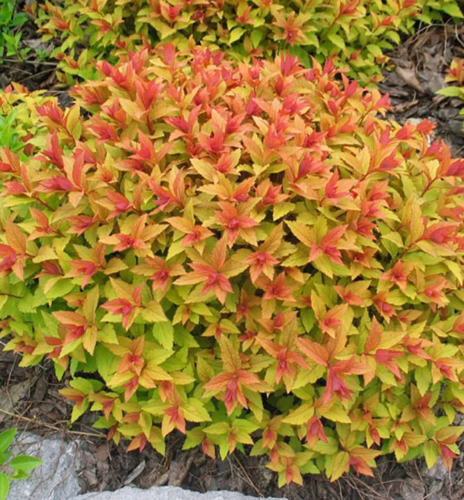 2a6edbe4e79a2d1938400431688301a0