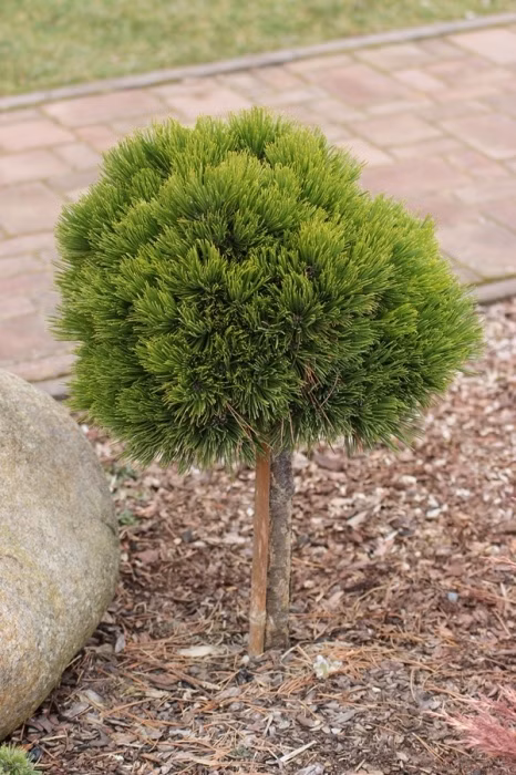 2a787475c0d424401d88a5635d387b28