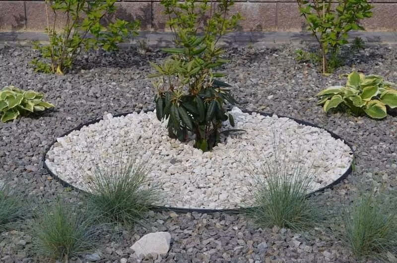 2a917af35de38aa443d668dfa86a2afb