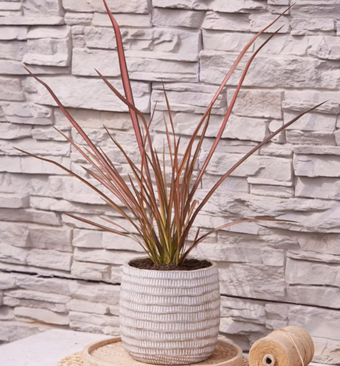 2abc1c4a173862d7befe6f092e4f530b