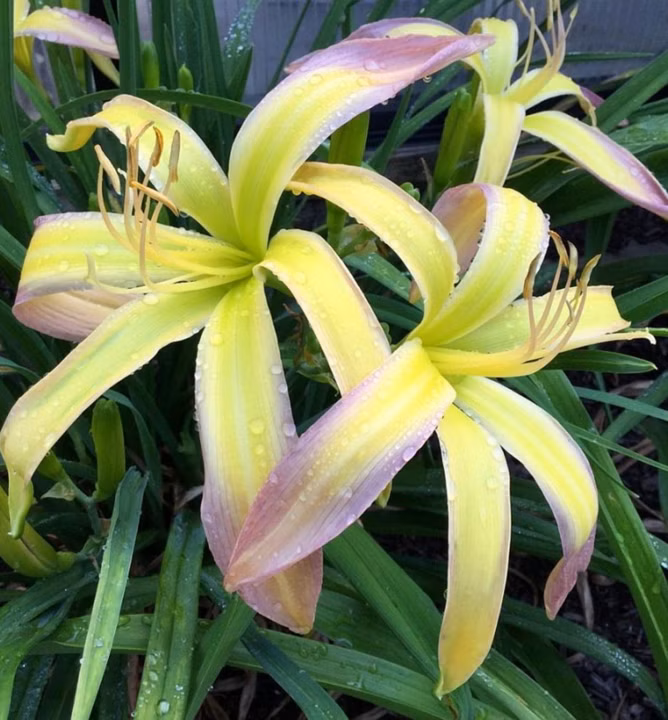 2b023a384982448b721b3957467d3c16