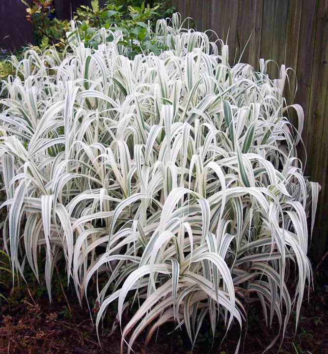 2b1fbd0853d3e1401100cc160c03c082