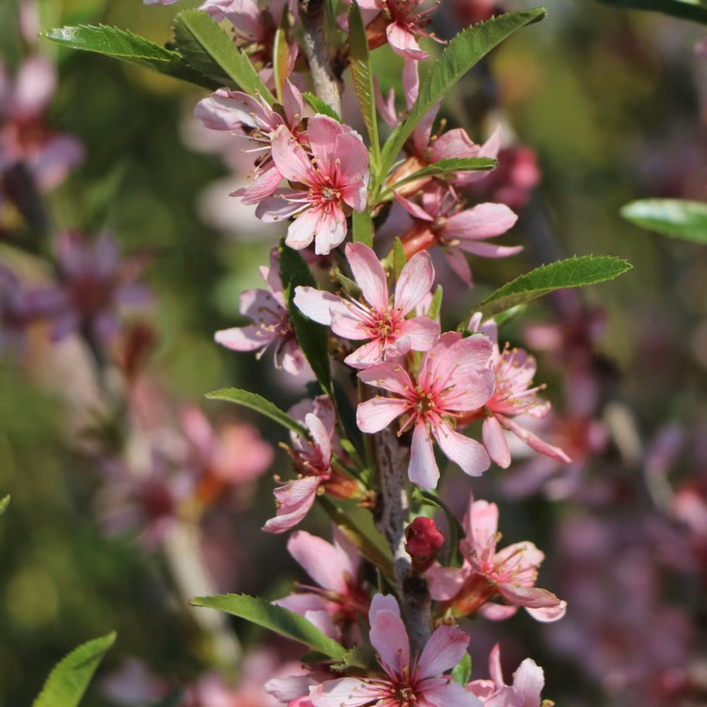 2b3a6549d2c295797bfcbbefc2331c85