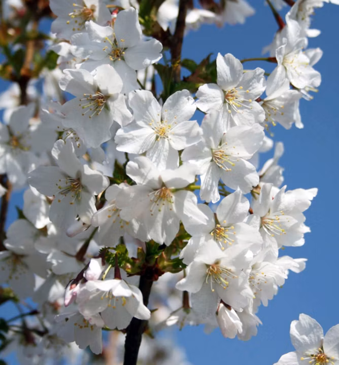 2b6d2436f76d88d7e95b6f813a59221f