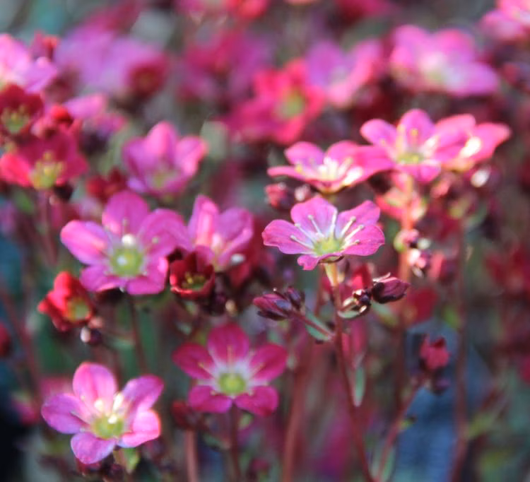 2bc345500a0a79e329301372d63da203