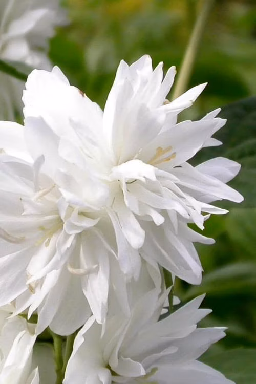 2c715c7a520d04d5460af38c66097f8d