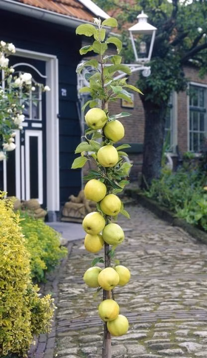 2c98d629f199f060cee1370ba7da0625