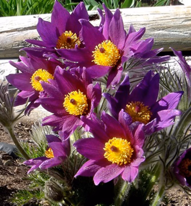 2cb33f8ea64309da28fe11b517193601