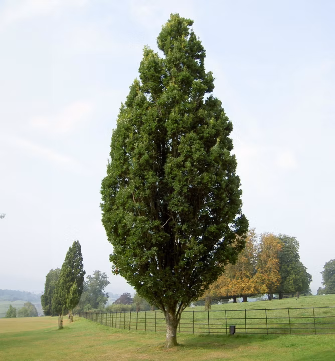 2ccdeeaf3580c12e318433b79ac44e65