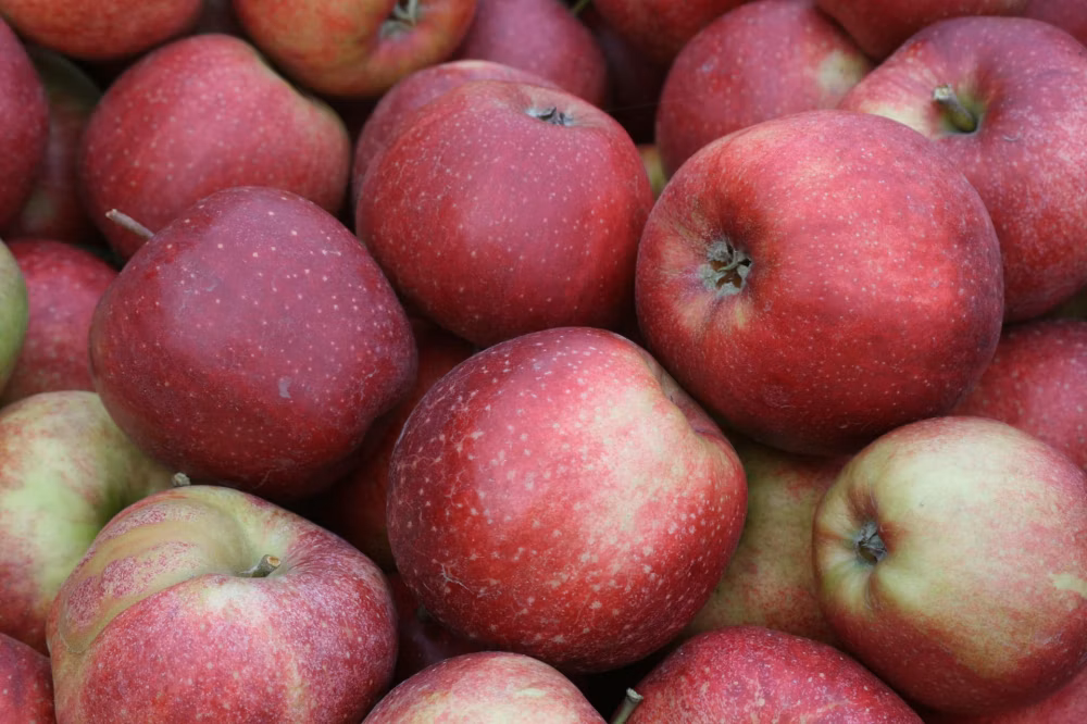 2d06fbc667d65a25d6bbece70a2c27d6