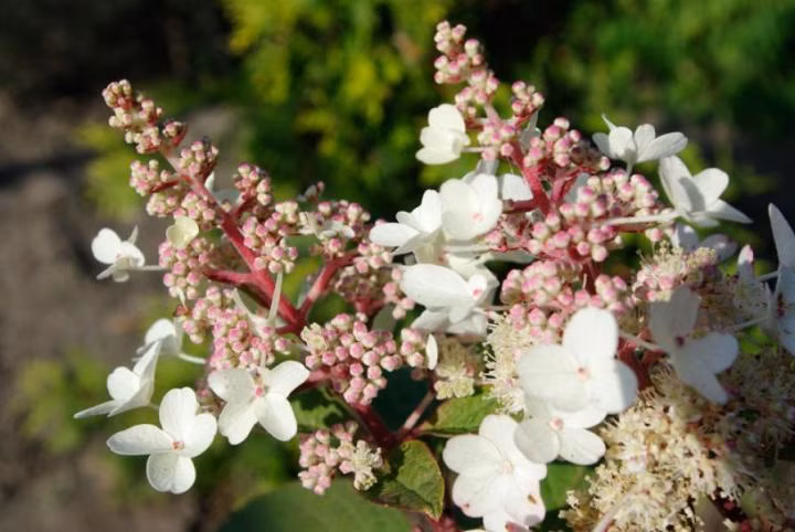 2d245513c246bbbd7e86b564d9e79ed8