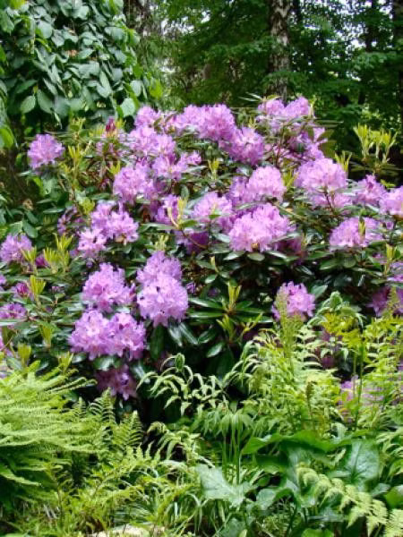 2d35442e5d18849ce653d3fafa94324a