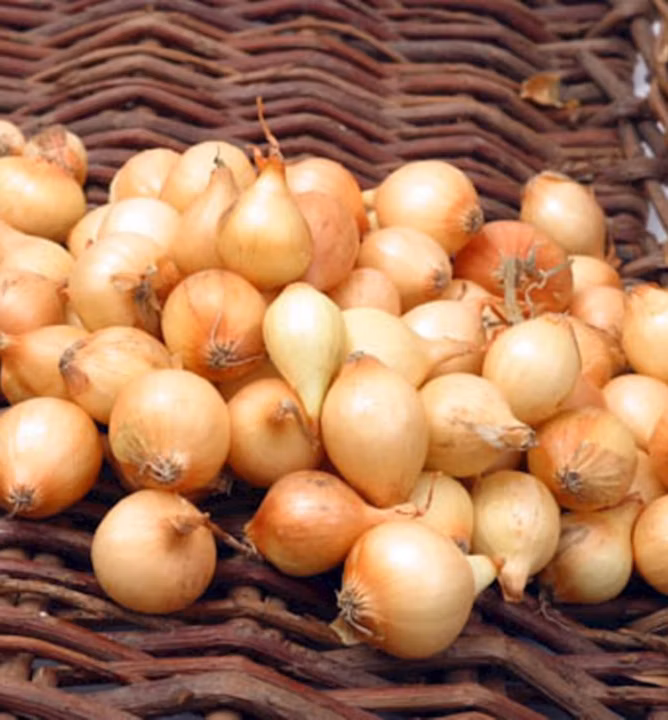 2d5f1ec55a0eeb9e9438e1f951f0da9e