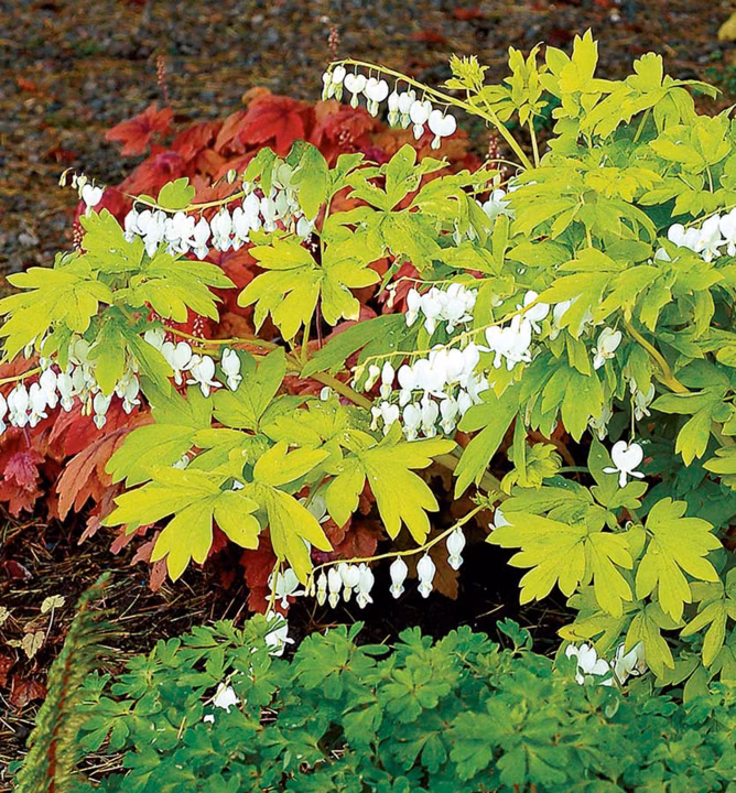 2d665f9514615a36327a09a4c7c1eeda