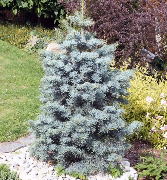 2de8be9d8308957c531a3c490126780d