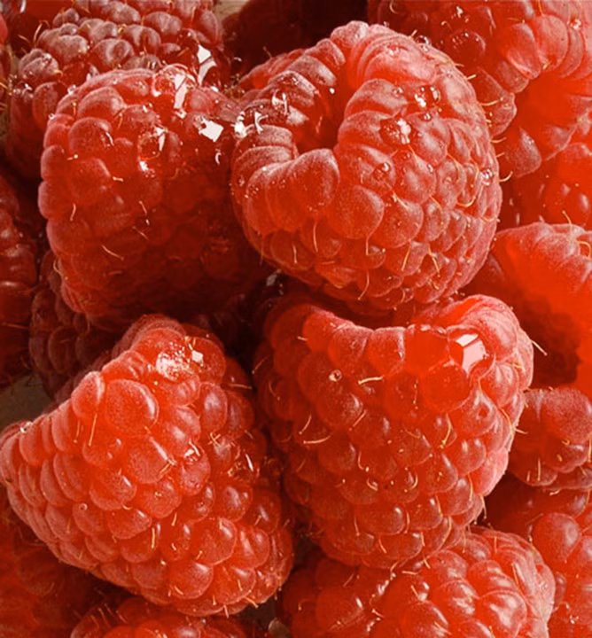 2df0295d0acd46efcb69c2c178596b69