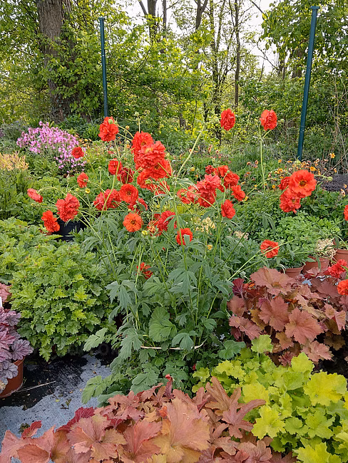 2e307d1a88b36c19102c49d96d5c9bd6