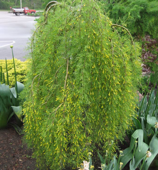 2e9ee9e201ee3fc5d47233986258d262