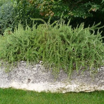 2ebca28b03bdf24046c117e59c74b8e4