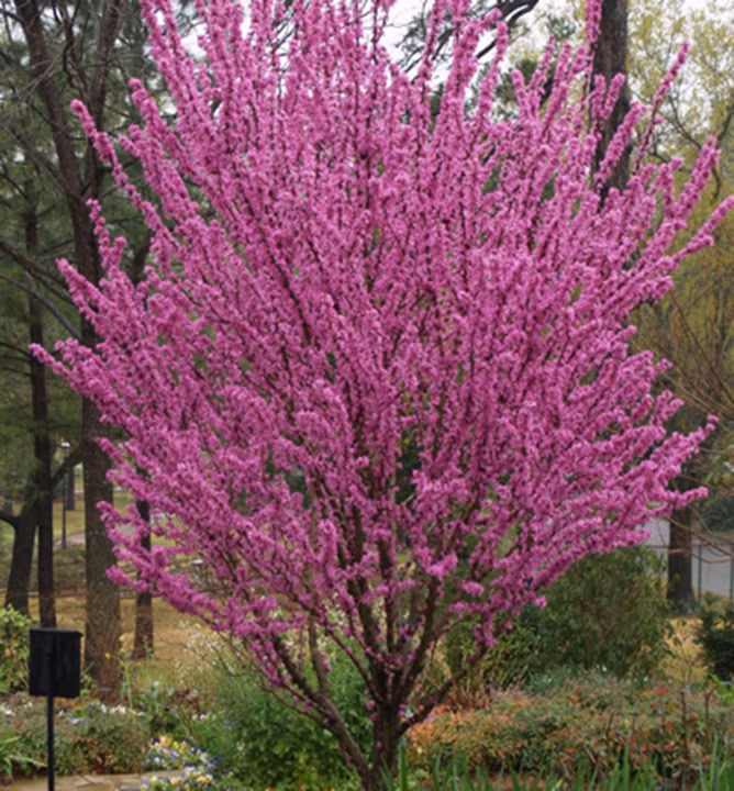 2ed2263a2baca006c697d9ef4b4ec186