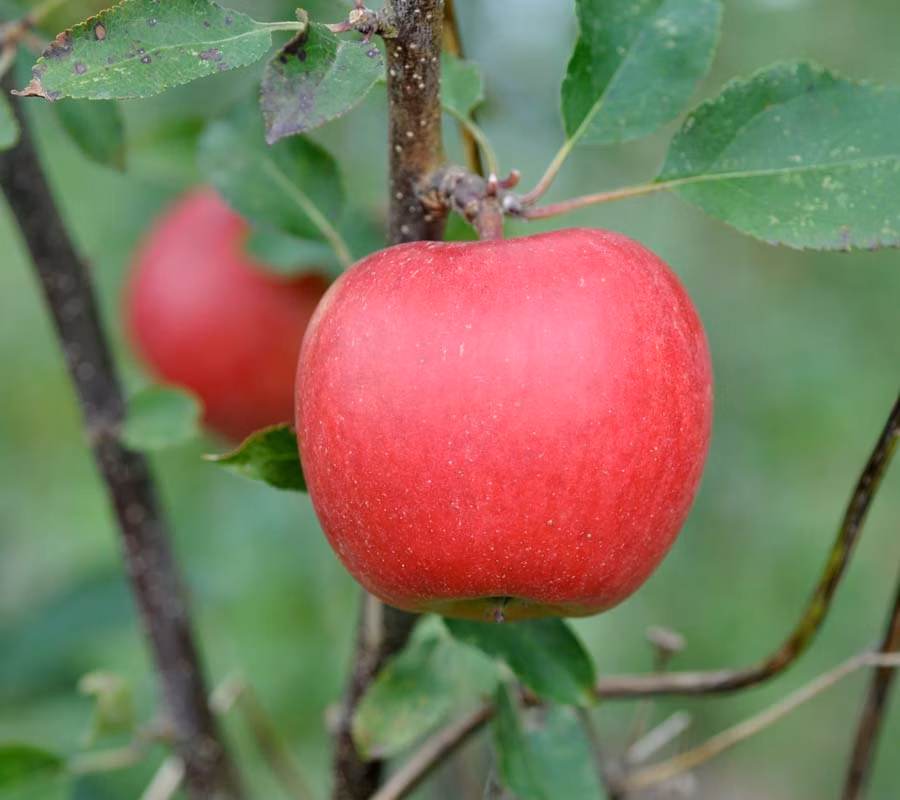 2edc68372bea5964ed39d5d6fa1a69e1