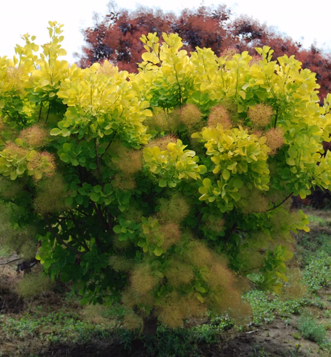 2ef5632994f0d2479c583ff37e094140